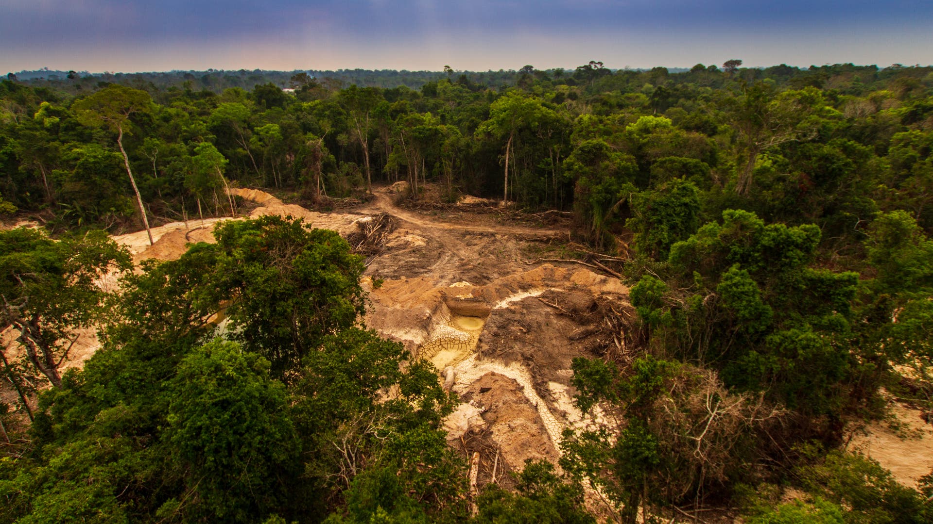 Deforestation: the per capita forest area has decreased significantly