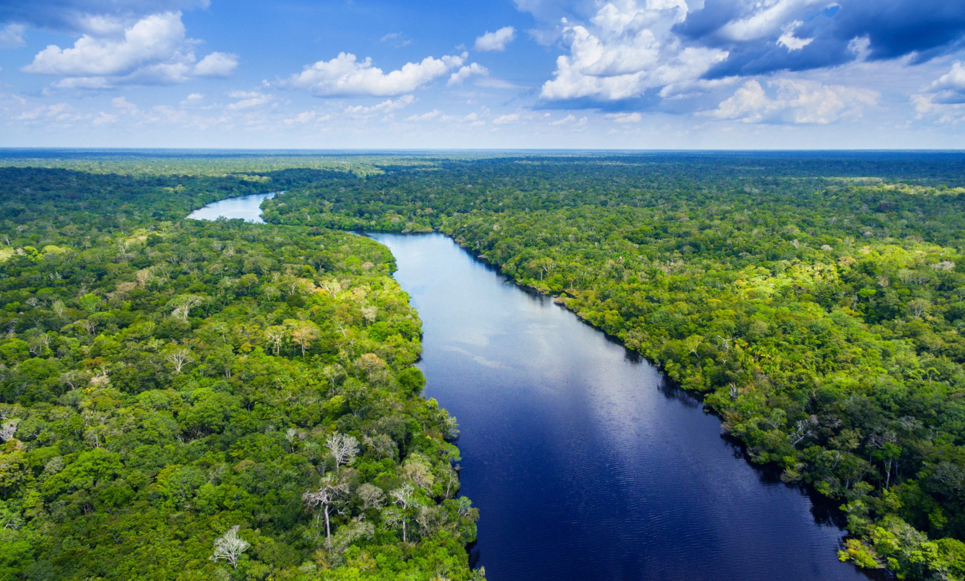 Dry net effect in the Amazon rainforest - wissenschaft.de