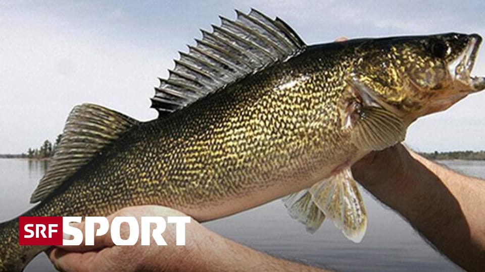 Ohio Investigation - Lead Weights: Cheating in a Profitable Fishing Championship - Sports
