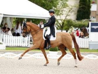 Germany's long dressage list for the World Championships Herning