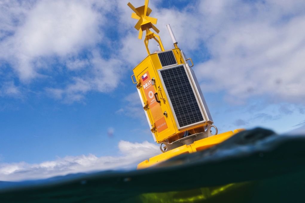 Buoys to protect whales from underwater cacophony |  free press